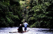 Borneo bambo rafting