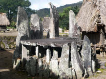 tradirional house