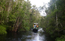 Base camp on the river