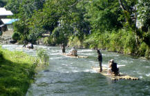 River cross at borneo
