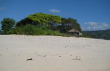 Gili kedis west lombok