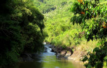 Loksado river 