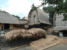 The traditional house