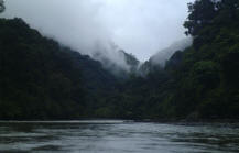 Borneo mahakam river