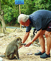 Old men feeding monkeys