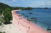 Lombok pink beach