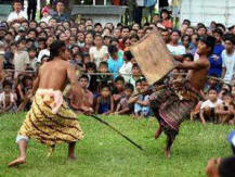 Attraction stick fighting