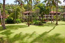 Large garden