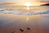 Sunset at sheraton hotel
