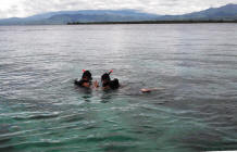 Snorkeling in lombok