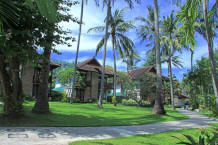 Coconut trees and garden