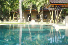 Swimming pool and trees
