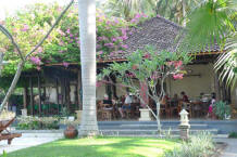Restaurant and palm trees